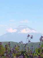 朝の富士山