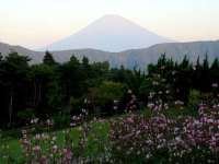 朝の富士山
