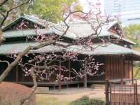 諏訪茶屋