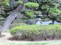 二の丸庭園