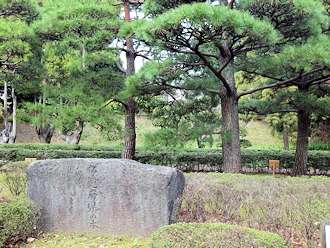 都道府県の木