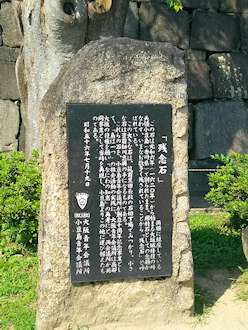 残念石