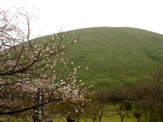 大室山と桜