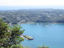 下田港