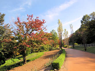 虹の郷の遊歩道