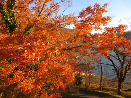 芦ノ湖の紅葉