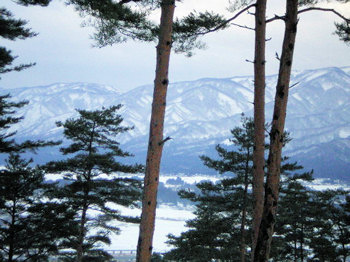 雪の山
